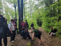 wyspowy (14)